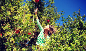 How to Start your Weekend off the Fresh Organic Way